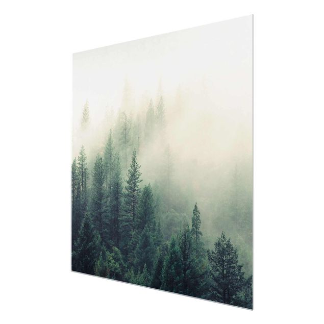 Bilder auf Glas Wald im Nebel Erwachen