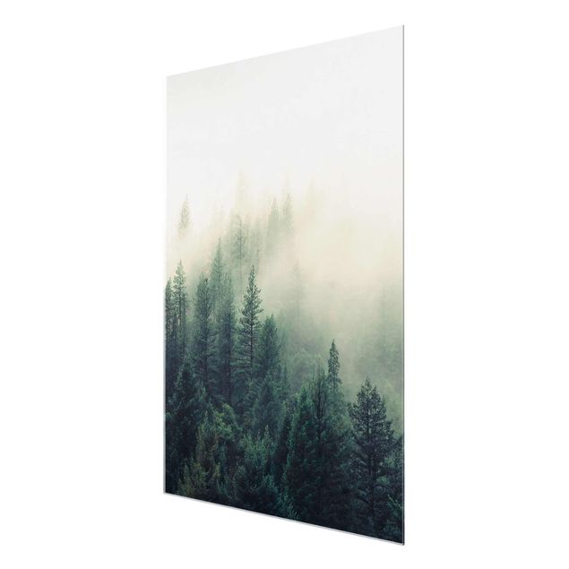 Glas Wandbilder Wald im Nebel Erwachen