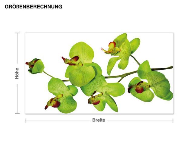 Wandtattoo Orchidee Orchideenzweig in Gelb