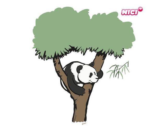 Dschungel Wandtattoo NICI - Wild Friends Panda Fu Bao - klettert auf Baum