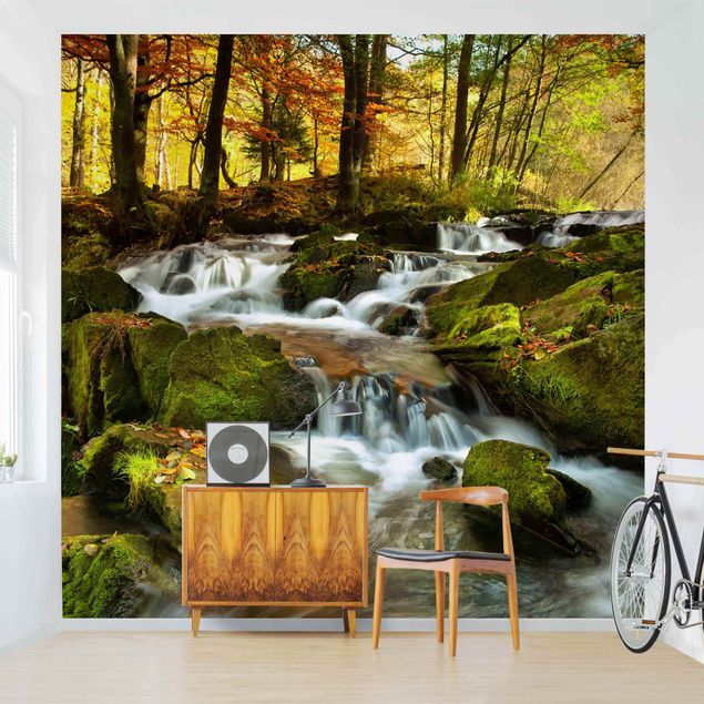 Fototapete Landschaft Wasserfall herbstlicher Wald
