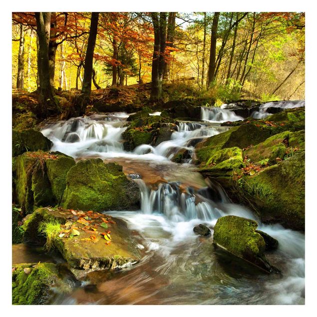 Schöne Fototapete Wasserfall herbstlicher Wald