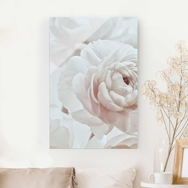 Glasbild Rose Weiße Blüte im Blütenmeer