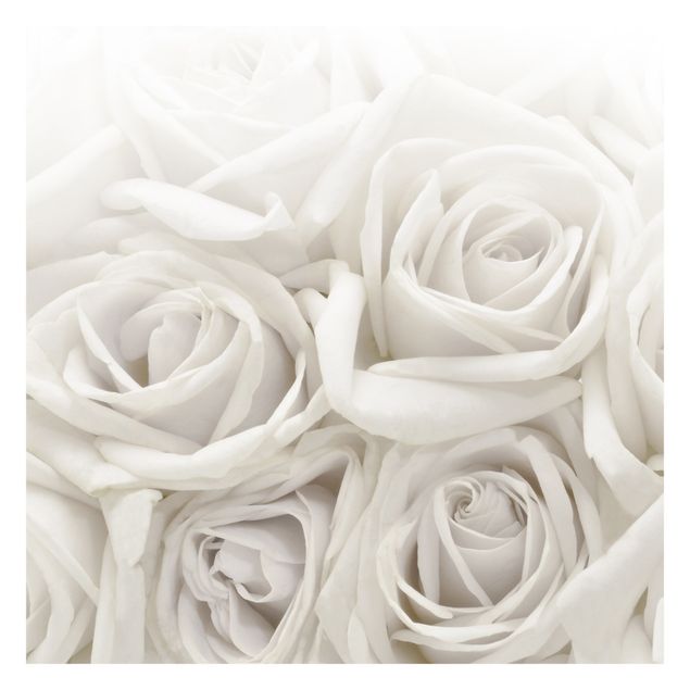 Wandtapete Design Weiße Rosen