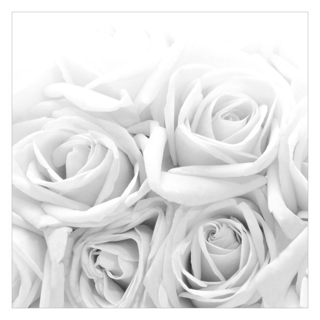 Fototapete weiß Weiße Rosen Schwarz-Weiß