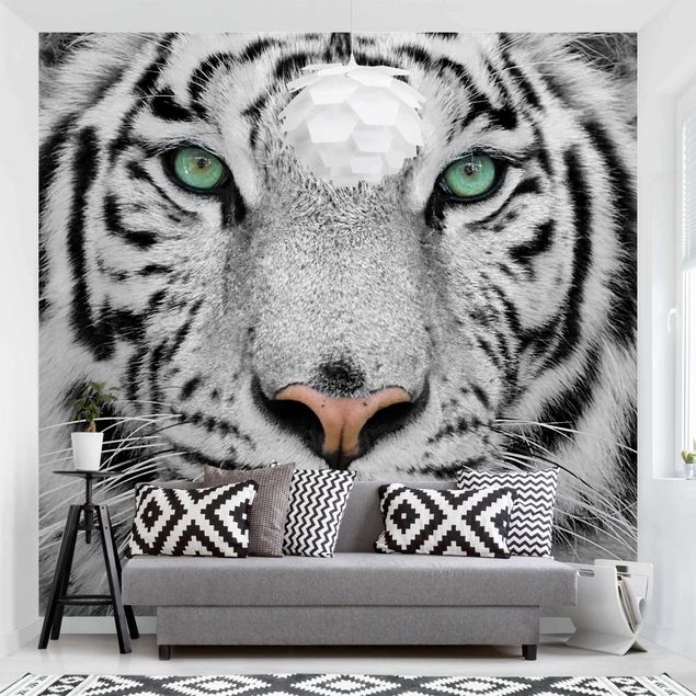 Fototapete Löwe Weißer Tiger