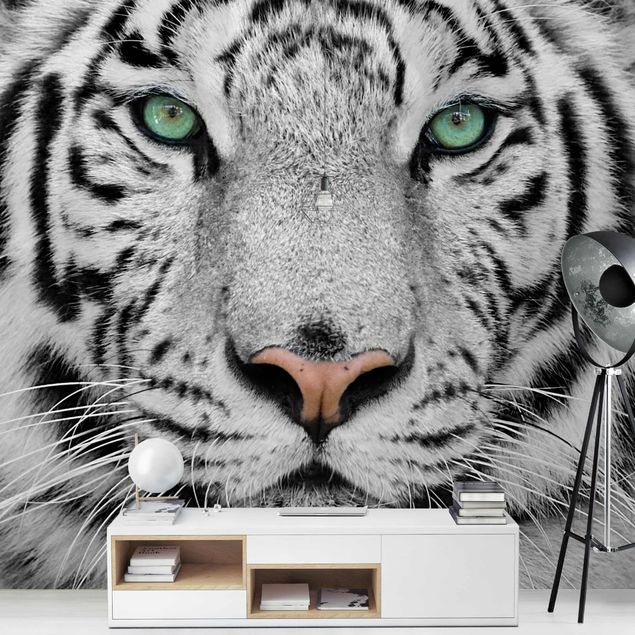 Fototapete Tiere Weißer Tiger