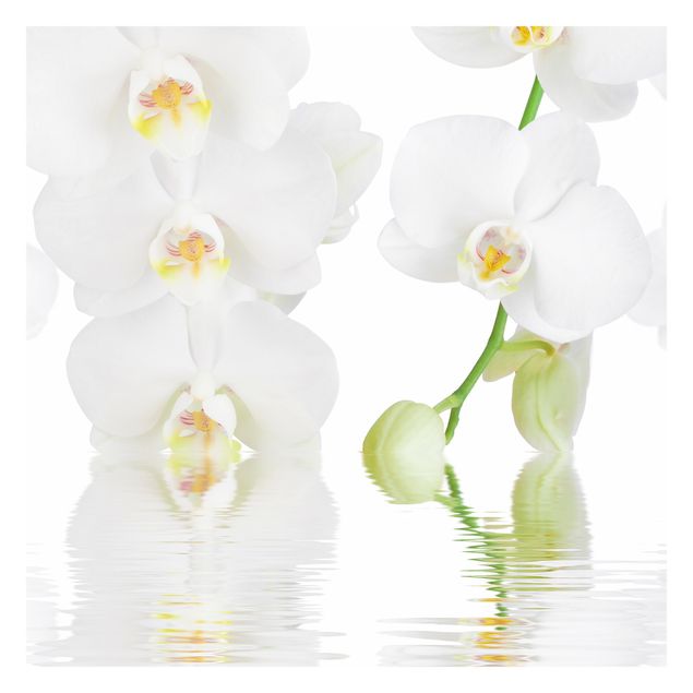Wandtapete Design Wellness Orchidee - Weiße Orchidee