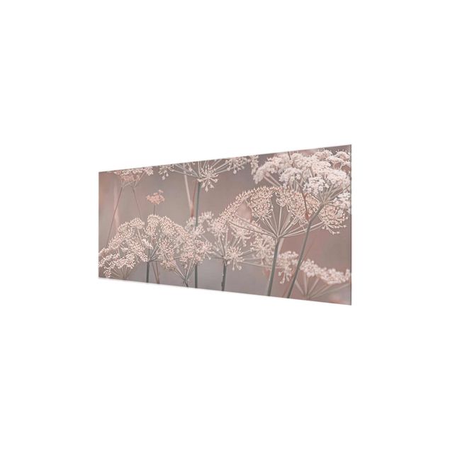 Glasbild - Wilde Doldenblüten - Panorama