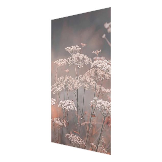 Glasbild - Wilde Doldenblüten - Hochformat