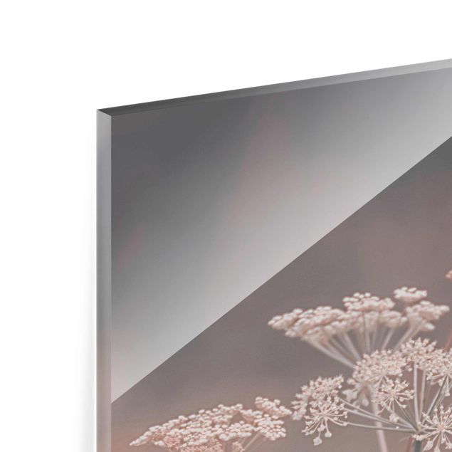 Glasbild - Wilde Doldenblüten - Hochformat
