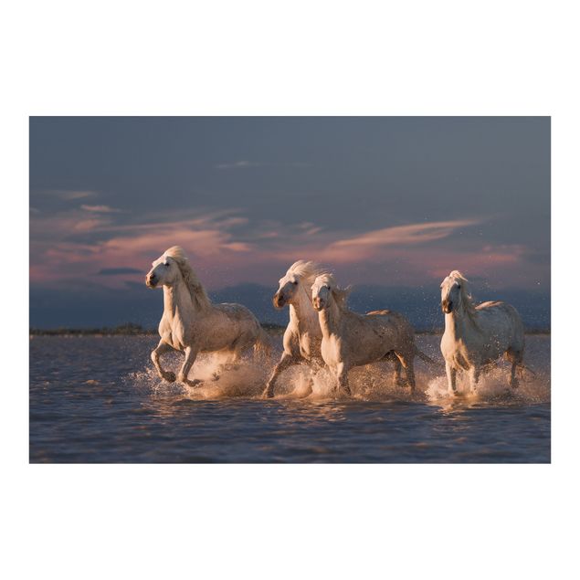 Schöne Fototapete Wilde Pferde in Kamargue