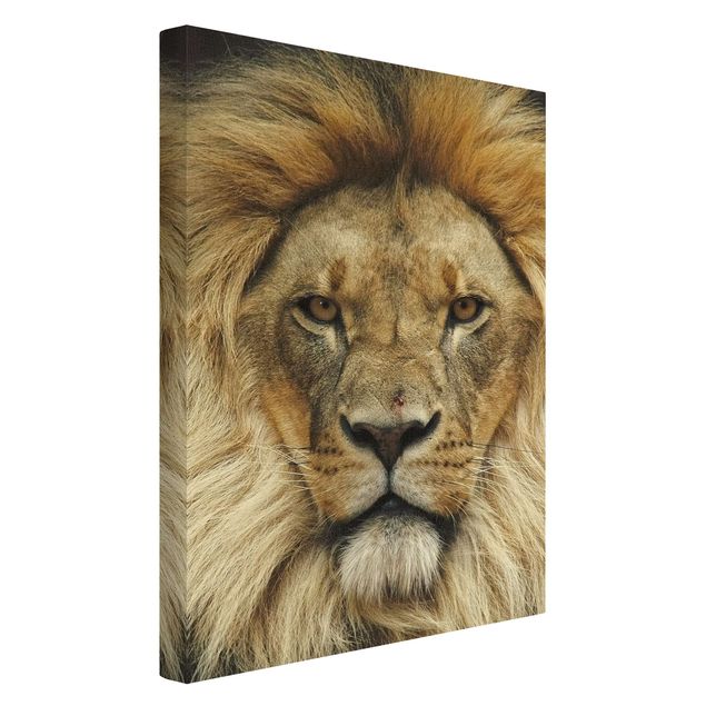 Wandbilder Wisdom of Lion