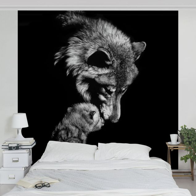 Fototapete Tiere Wolf vor Schwarz