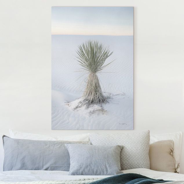 Wandbilder XXL Yucca Palme in weißem Sand