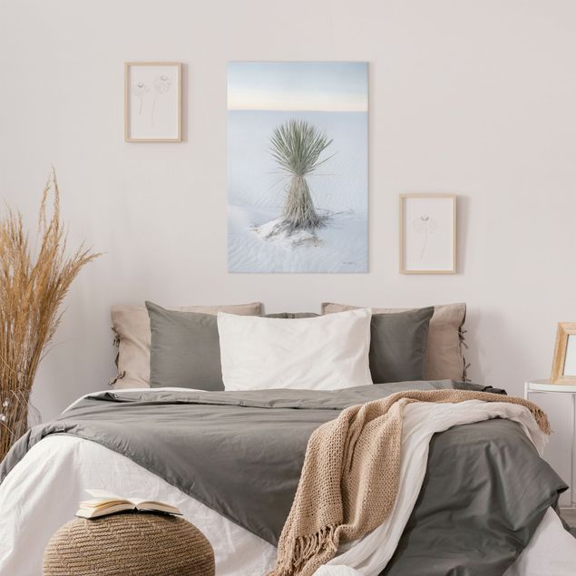 Wandbilder Natur Yucca Palme in weißem Sand