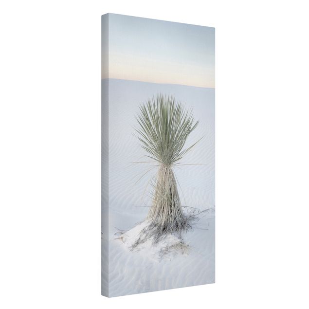 Moderne Leinwandbilder Wohnzimmer Yucca Palme in weißem Sand