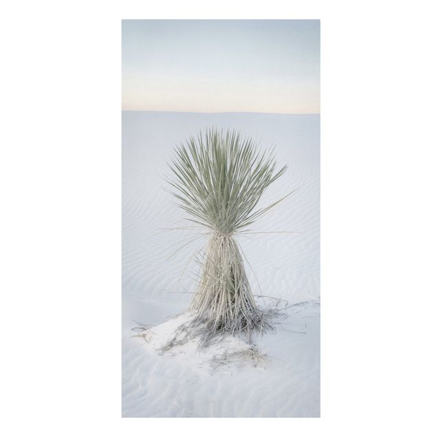 Bilder für die Wand Yucca Palme in weißem Sand