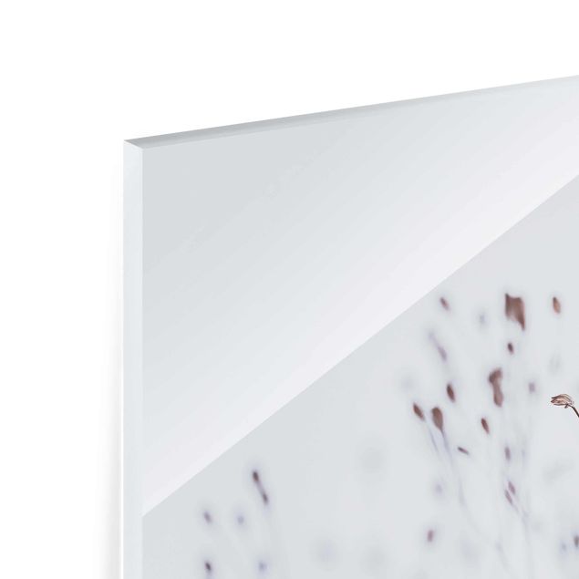 Glasbild - Zartblaue Wildblumen - Querformat