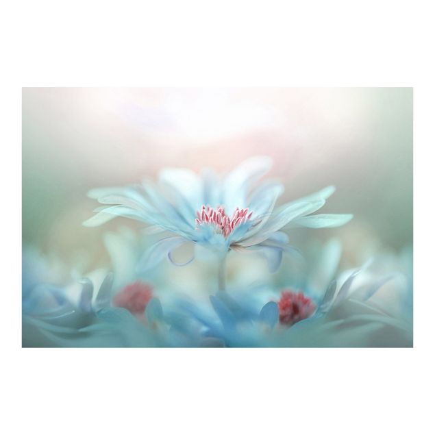 Fototapete Design Zarte Blüten in Pastell