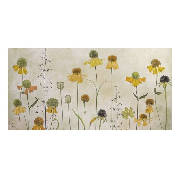 Wandbilder Zarte Helenium Blüten