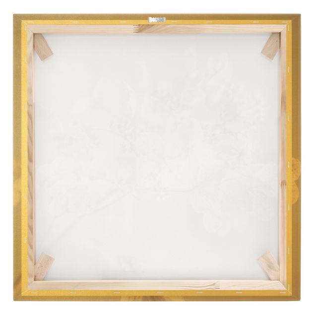 Leinwandbild - Zarte weiße Hortensie - Quadrat 1:1