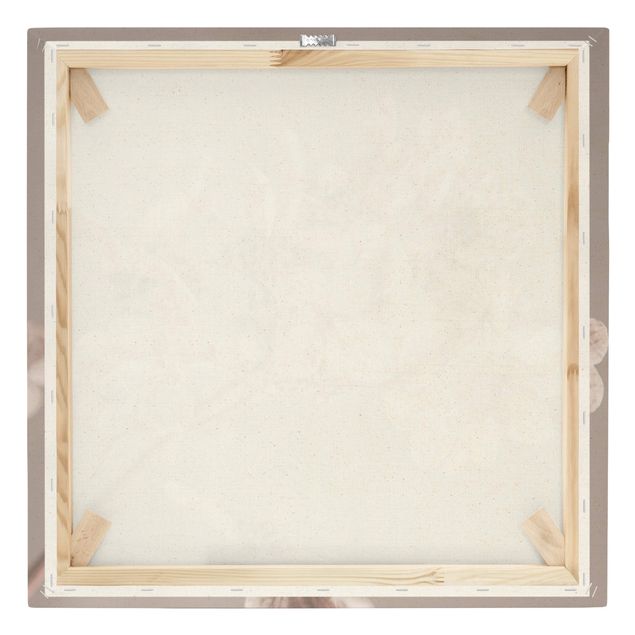 Leinwandbild - Zarte weiße Hortensie - Quadrat 1:1