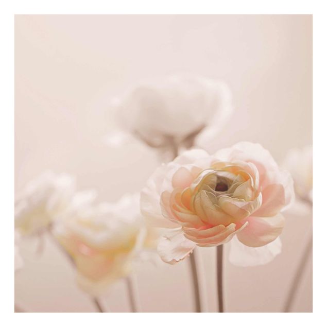 Bilder auf Glas Zarter Strauch an Rosa Blüten
