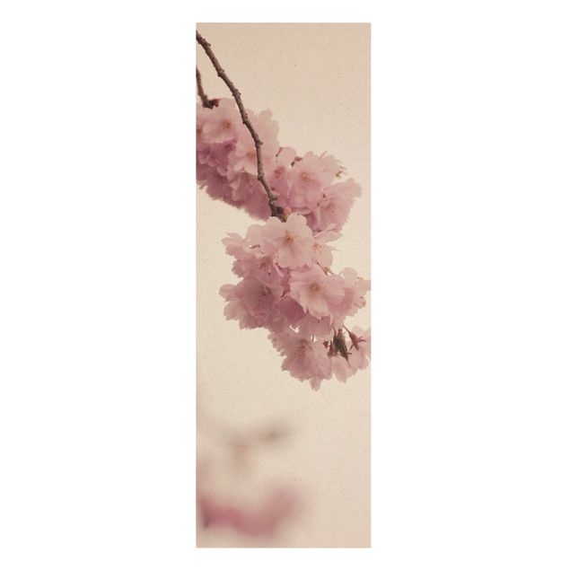 Schöne Wandbilder Zartrosane Frühlingsblüte mit Bokeh