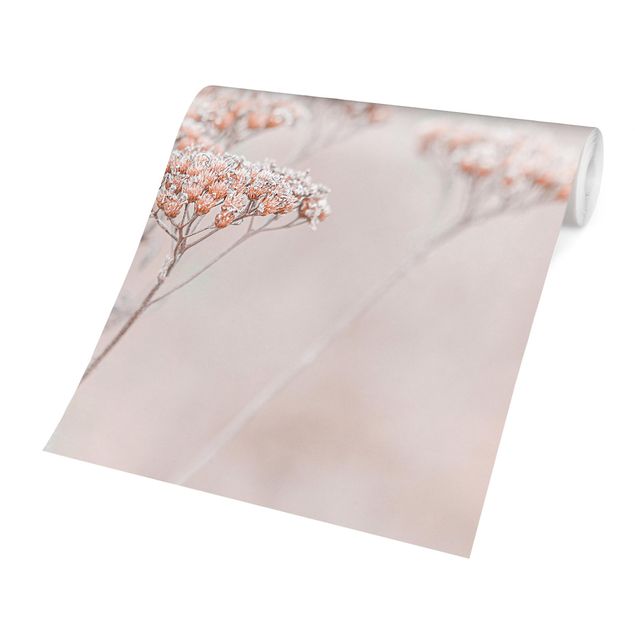 Fototapete modern Zartrosane Wildblumen