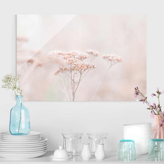 Wandbilder Glas XXL Zartrosane Wildblumen