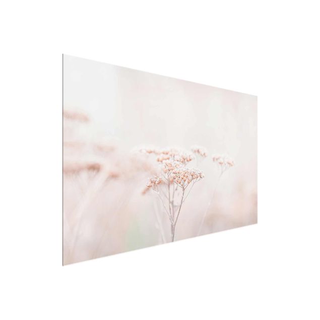 Bilder für die Wand Zartrosane Wildblumen
