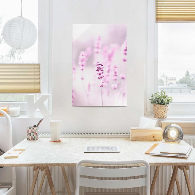 Glasbild Natur Zartvioletter Lavendel