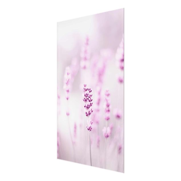 Glasbild - Zartvioletter Lavendel - Hochformat