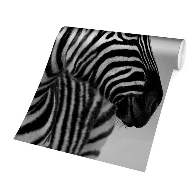 Wandtapete Design Zebra Baby Portrait II