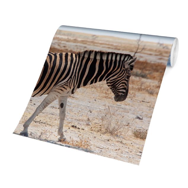 Fototapete Design Zebra in der Savanne