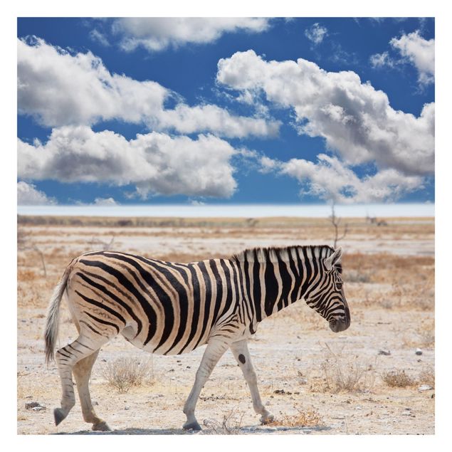 Fototapeten Zebra in der Savanne