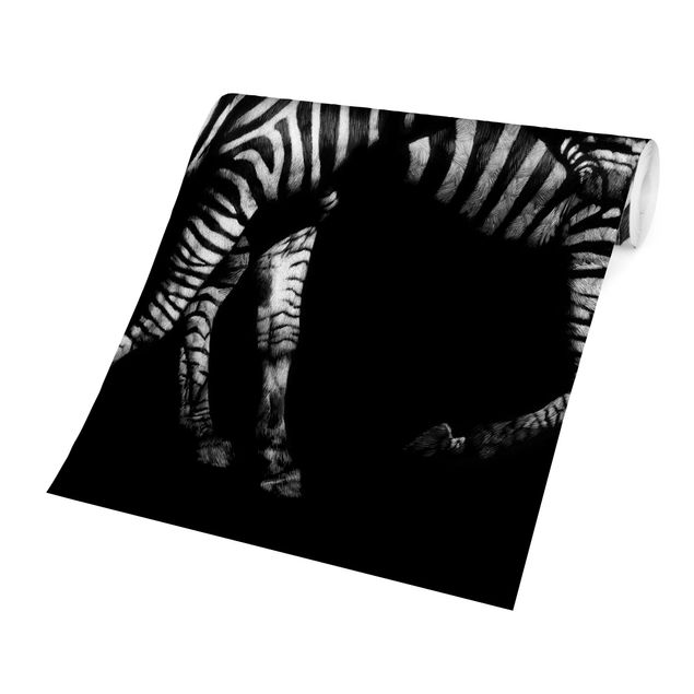 Wandtapete schwarz Zebra vor Schwarz