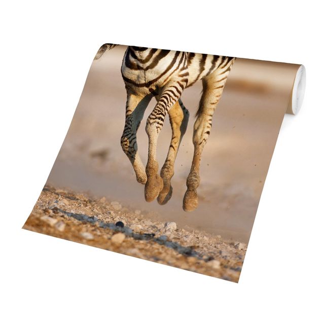 Fototapeten Zebrafohlen