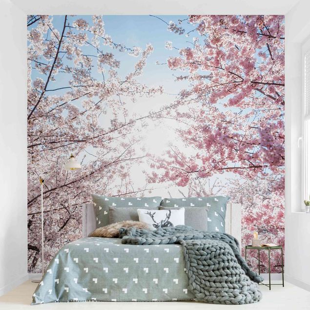 Moderne Tapeten Zwischen Kirschblütenzweigen