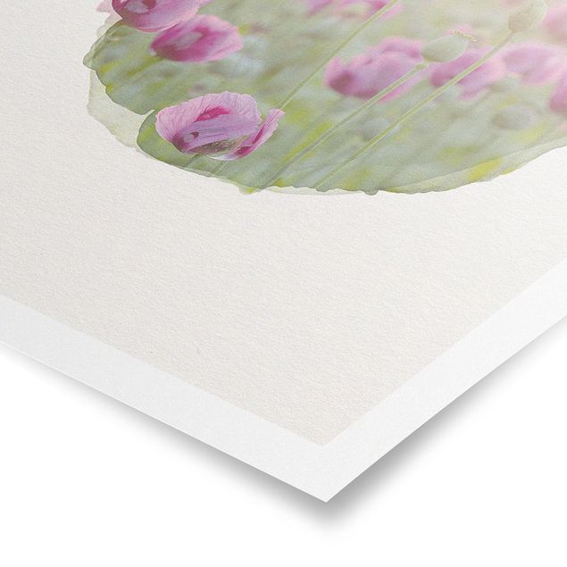 Poster - Wasserfarben - Violette Schlafmohn Blumenwiese im Frühling - Hochformat 4:3