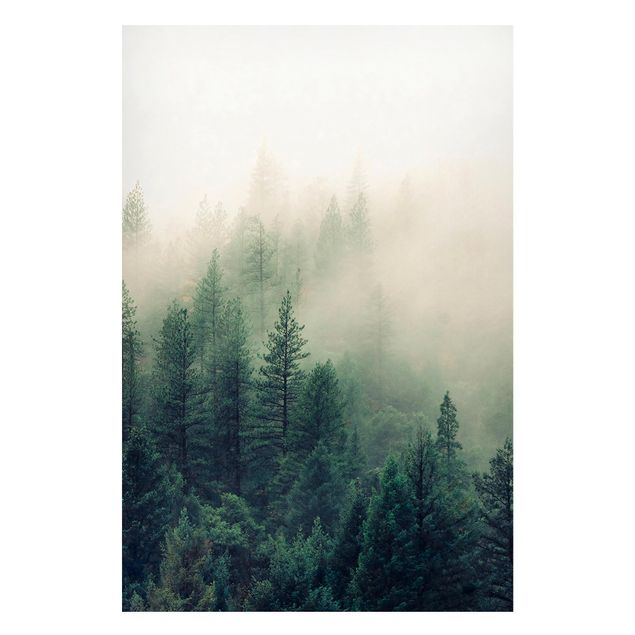 Wandbilder Wald im Nebel Erwachen