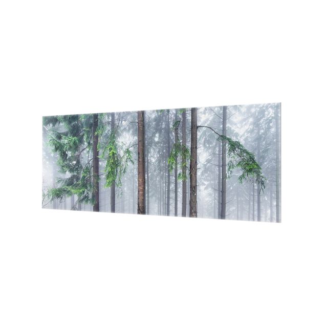 Spritzschutz Glas - Nadelbäume im Winter - Panorama 5:2