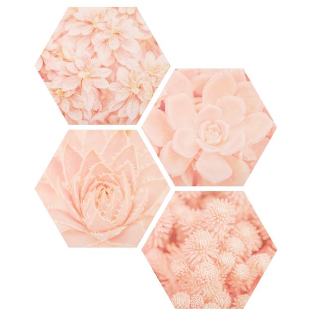 Hexagon Bild Forex 4-teilig - Rosa Blütenzauber