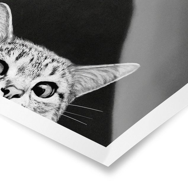 Poster Schwarz-Weiß Illustration Katze Schwarz Weiß Zeichnung