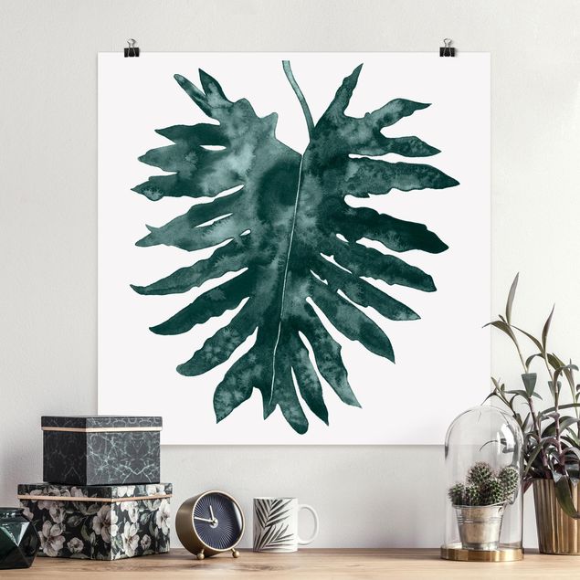 Poster - Smaragdgrüner Philodendron Bipinnatifidum - Quadrat 1:1