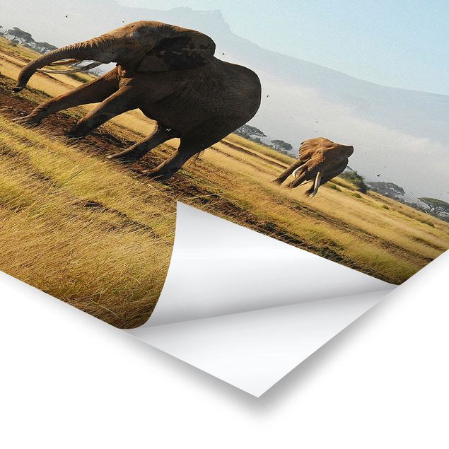 Poster - Elefanten vor dem Kilimanjaro in Kenya - Quadrat 1:1
