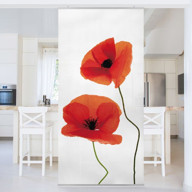 Raumteiler - Charming Poppies 250x120cm