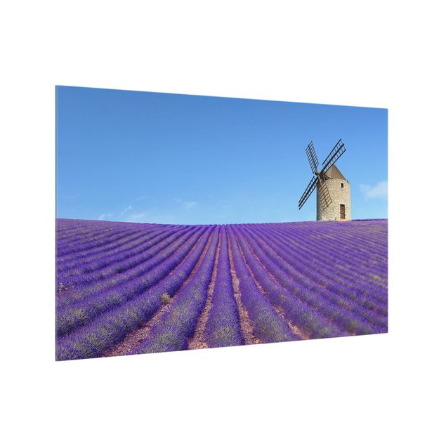 Spritzschutz Lavendelduft in der Provence