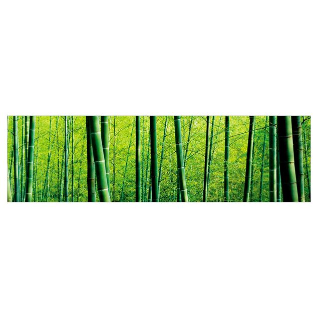 Küchenrückwand Grün Bambuswald